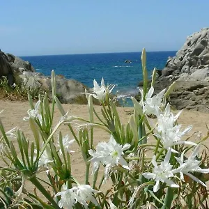 Giglio Di Mare Casa vacanze